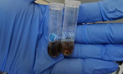 上海凈信高通量研磨儀能否助力蟲媒病毒研究實驗？