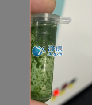 冷凍研磨儀在對甘蔗葉片提取DNA實驗中研磨樣本效果如何？